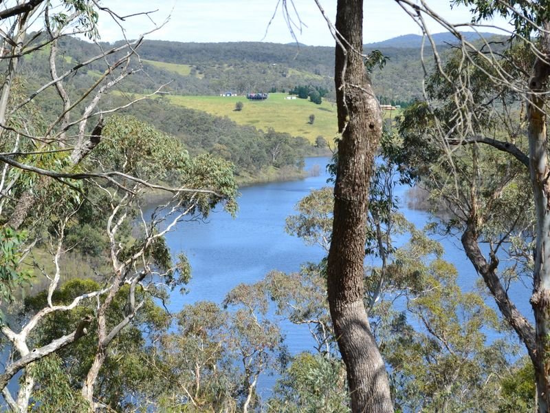 Sir Thomas Mitchell Reserve