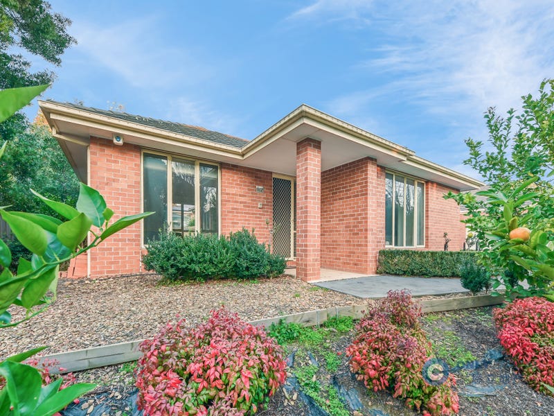 1/2 Efron Court, Box Hill North, Vic 3129