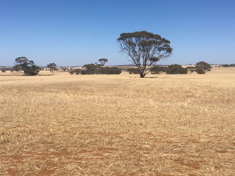 Property 7949854, Dumbleyung, WA 6350 Property Details
