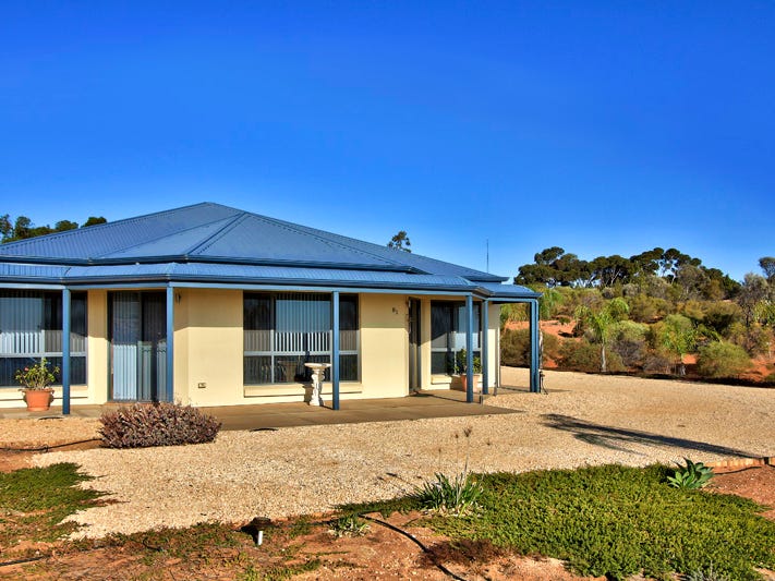 81 Wheatley Road, Loxton, SA 5333