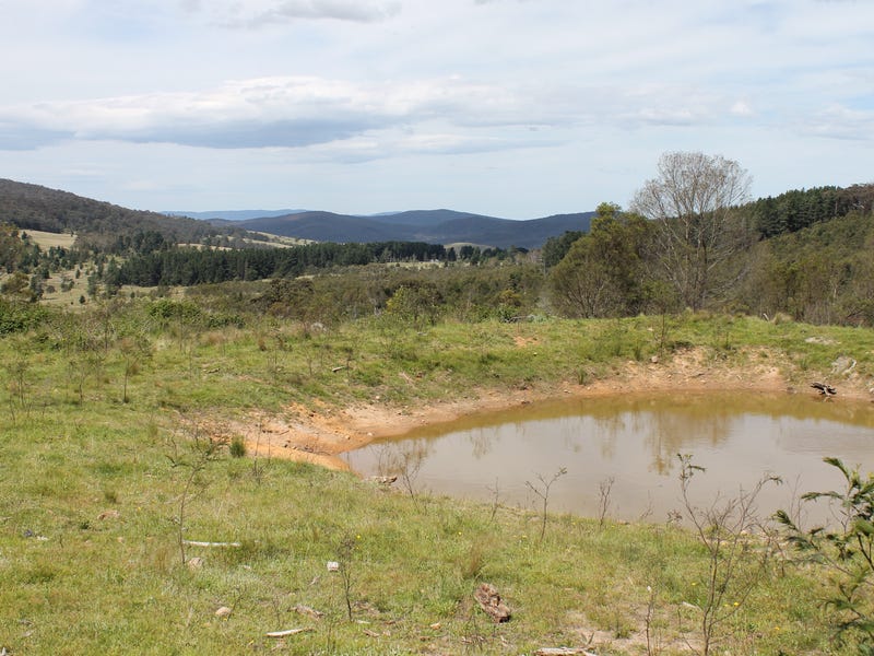 Lot 1 & 2, 223 Kain Road, Braidwood, NSW 2622 Farmlet for Sale