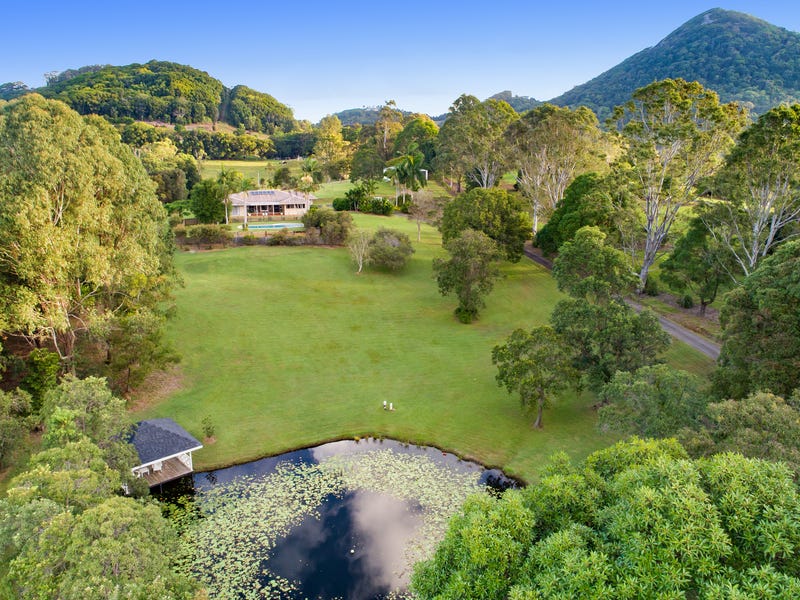 599 Cooroy Mountain Road, Cooroy Mountain, QLD 4563
