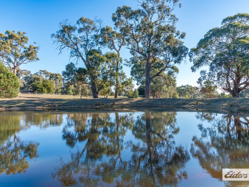 289 Road, Vic 3444 Property Details