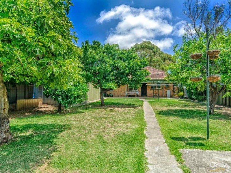 53 Frederick Street, Clarence Park, SA 5034