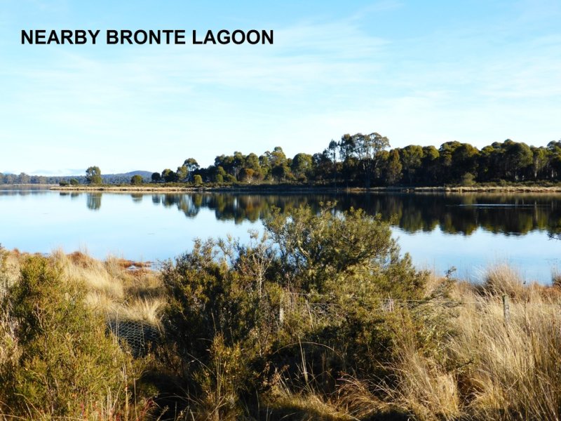 25 Bronte Estate Road, Bronte Park, TAS 7140
