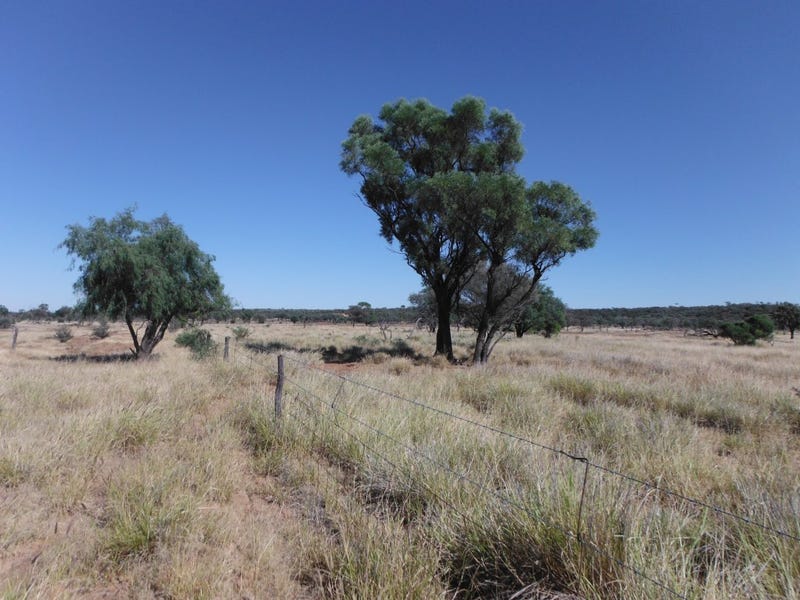 ' Maybe', Quilpie, Qld 4480 - Property Details