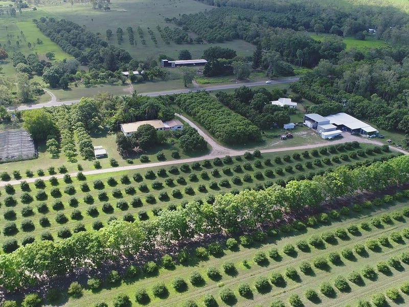 34348 Bruce Highway, Giru, Qld 4809 Horticulture for Sale