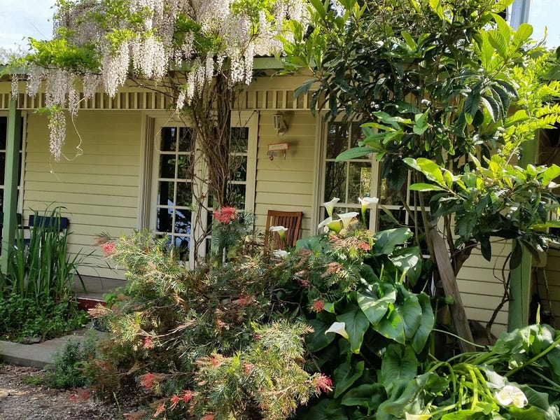 3 Anebo Street, Warneet, VIC 3980