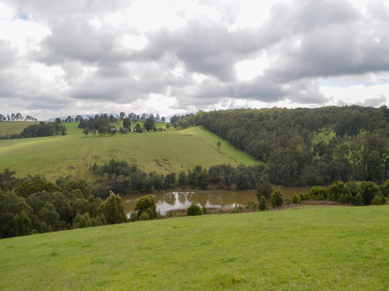 Lot 14 510 Sheepstation Creek Road, Yellingbo, Vic 3139