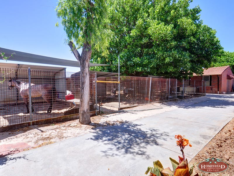 3 Kalgoorlie Street, Ascot, WA 6104 Property Details