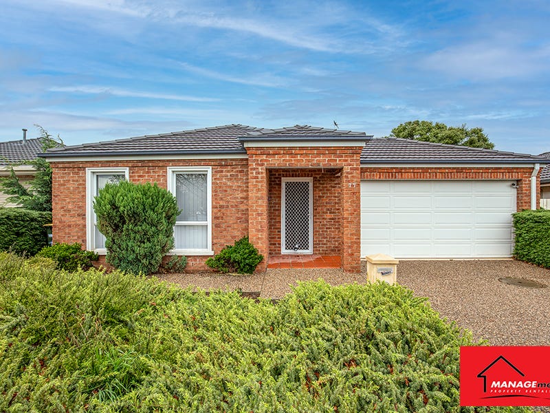 77 Christina Stead Street, Franklin, ACT 2913