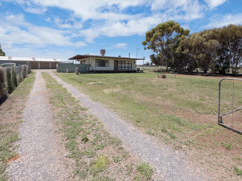 220 Lake Road, Woorinen, Vic 3589 Property Details