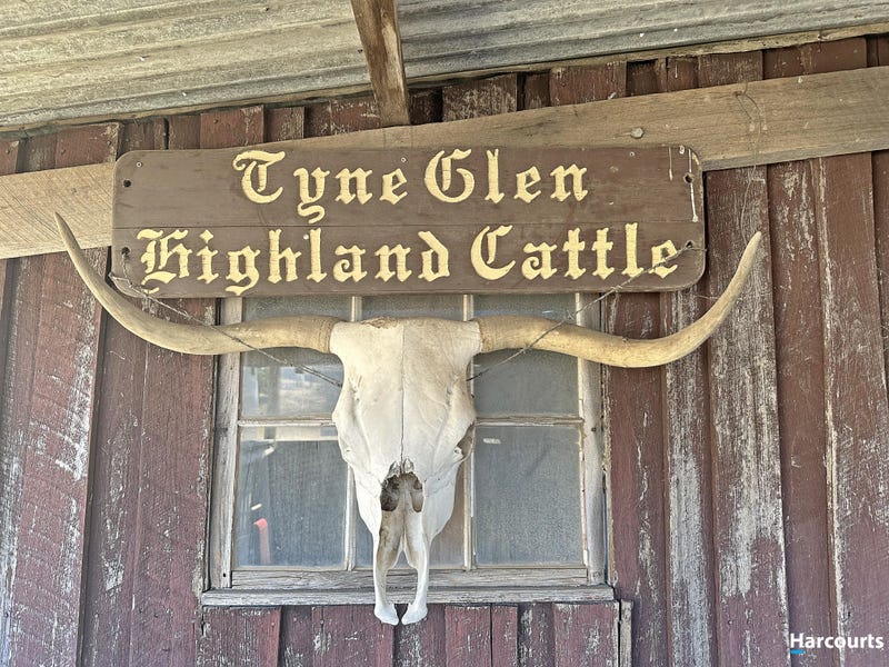 721 Tyne Road, Mathinna, Tas 7214 House for Sale