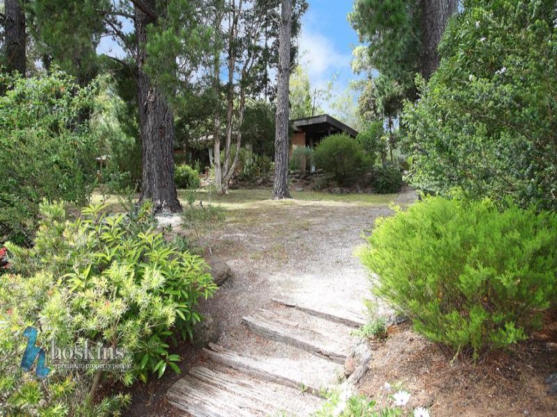 1012 Feversham Avenue, Park Orchards, VIC 3114