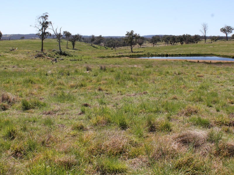 376 Kingstown Road, Uralla, NSW 2358 Property Details