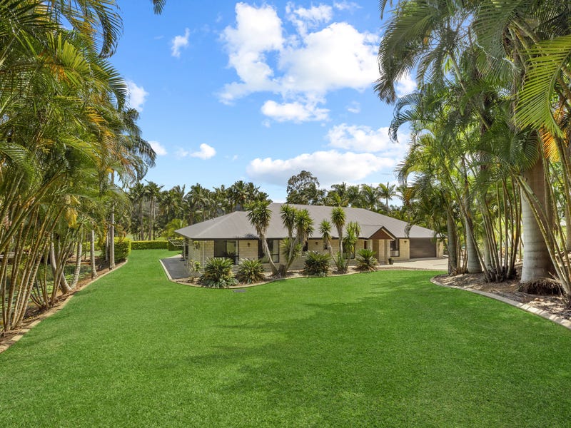 331 Petrie Creek Road, Rosemount, Qld 4560 House for Sale