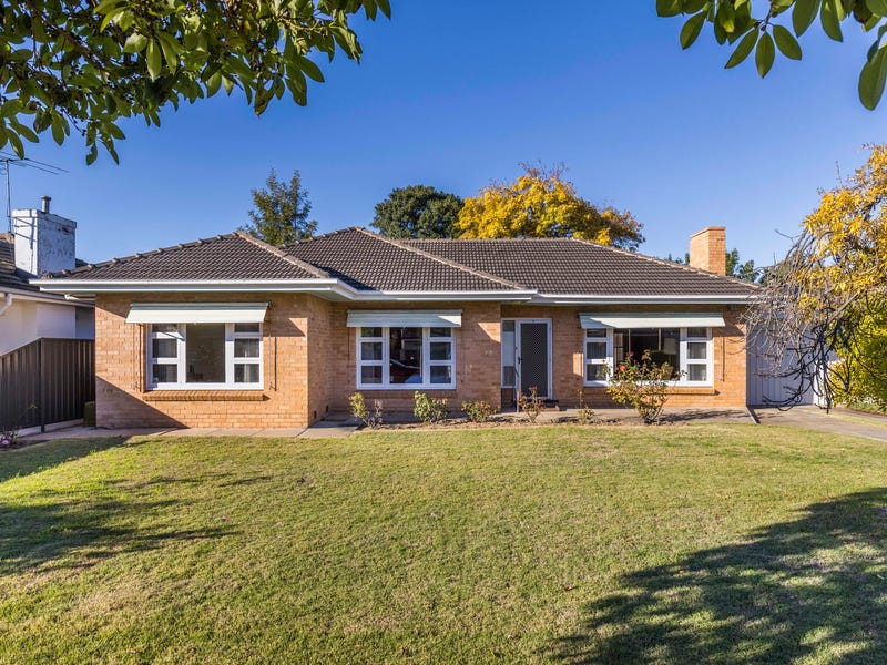 12 Mclachlan Avenue, Glenelg North, SA 5045