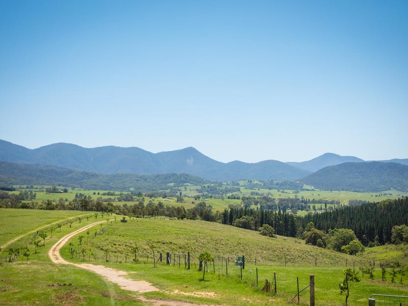 3537 Snowy Mountains Highway, Bemboka, NSW 2550