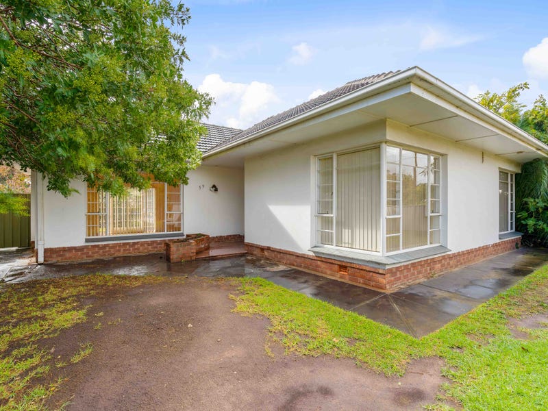 59 Woodlands Terrace, Edwardstown, SA 5039