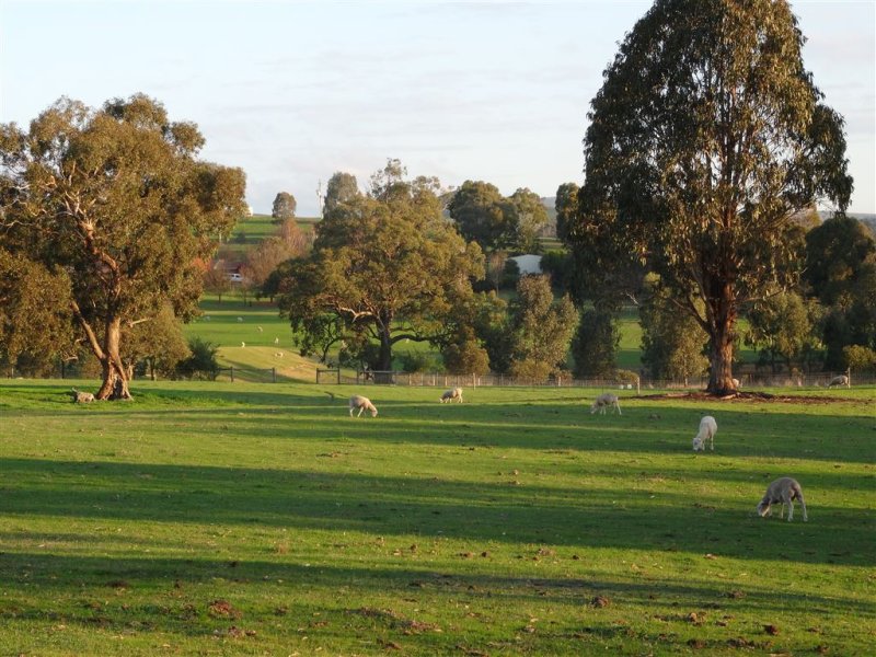 62 Carey Road, Yea, Vic 3717 Property Details