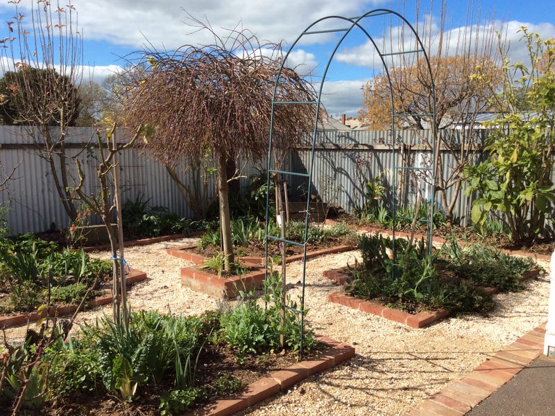 7 Cardwell Street, Elmore, VIC 3558