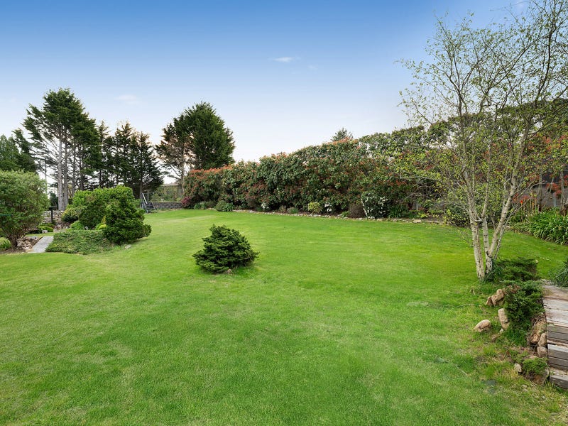 Maple Grive 16 Maple Grove, Wentworth Falls, NSW 2782 - realestate.com.au