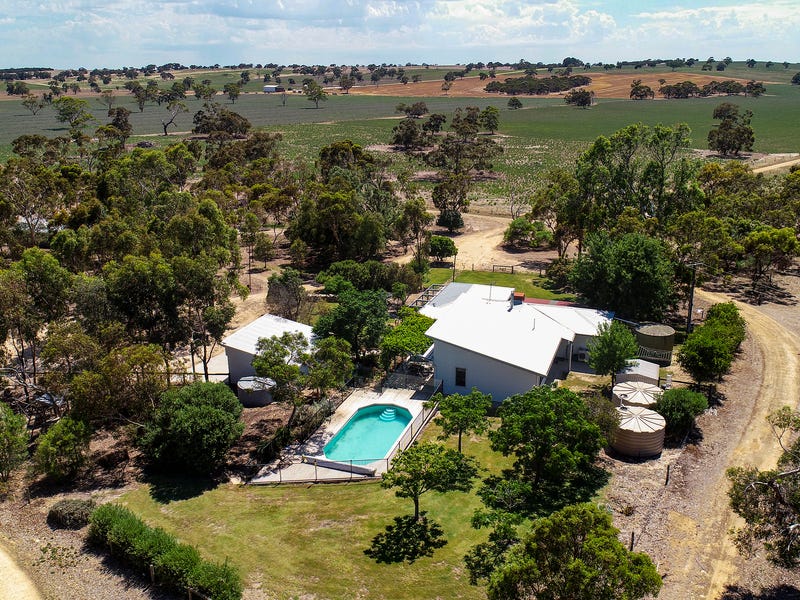 595 Brimbago South Road, Keith, SA 5267 Other for Sale realestate