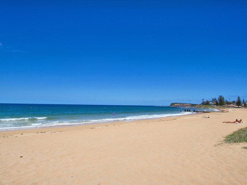 17-1135-1137-pittwater-rd-collaroy-nsw-2097-property-details