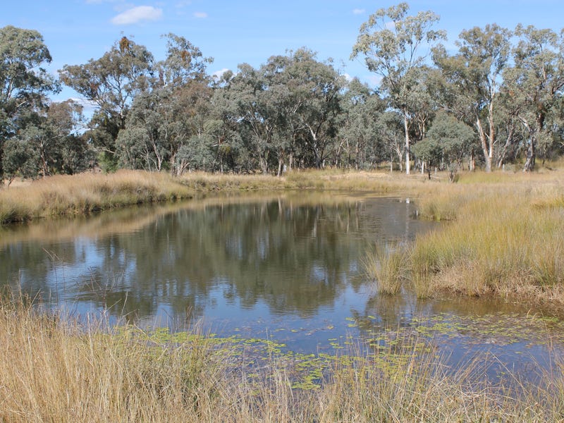 For Sale Mud Island Qld For Sale Mud Island Qld