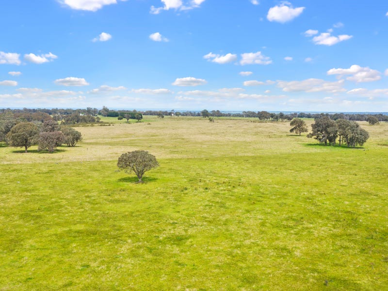 411 Sawpit Creek Road, Briagolong, Vic 3860 Livestock for Sale