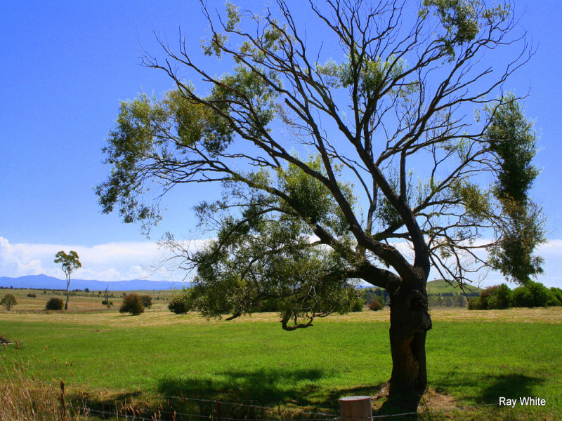 2 Nerriga Road, Braidwood, NSW 2622 Property Details