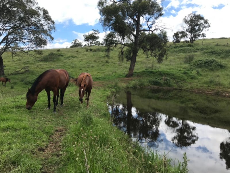 Lot 352 Splitters Gully Road, Nundle, NSW 2340 Property Details