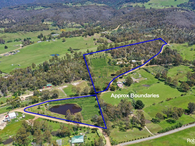 99 Millers Road, Lachlan, Tas 7140 House for Sale