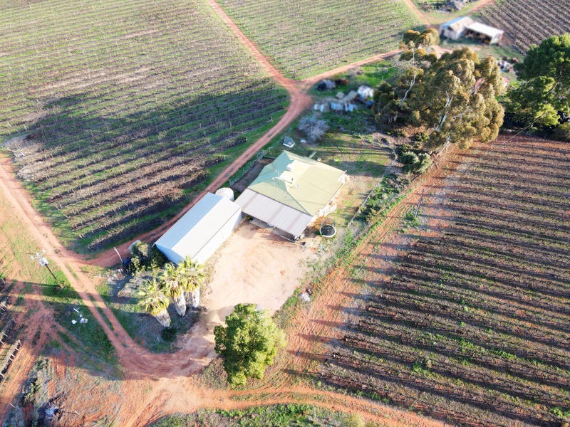 17799 Sturt Highway, Barmera, SA 5345 House for Sale