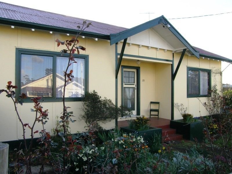 35 Winnaleah Road, Winnaleah, TAS 7265