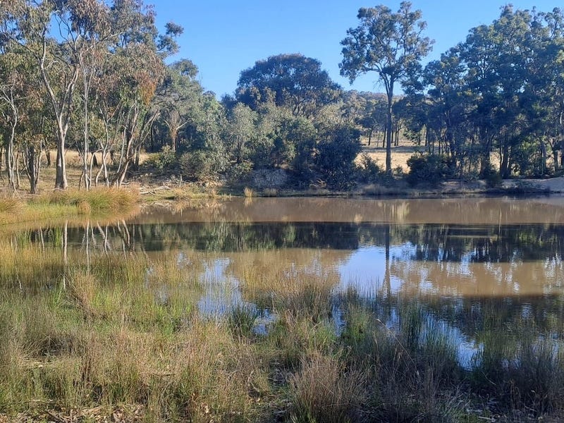 2202 WELLINGTON VALE ROAD, Emmaville, NSW 2371 Residential Land for Sale