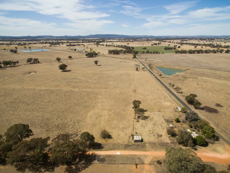 41 Spring Creek Road, Gulgong, NSW 2852