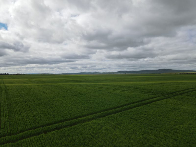 * Mundoora Boundary Rd, Mundoora, SA 5555 Property Details