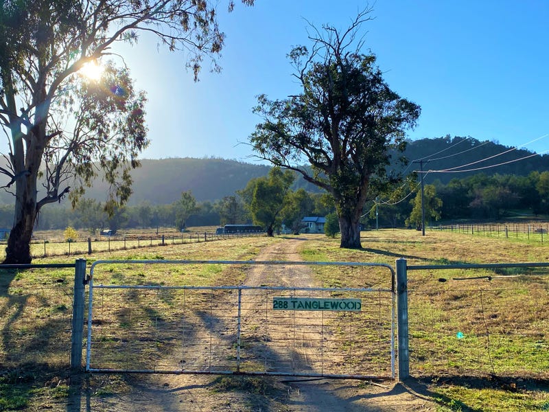 288 Tanglewood Road, Moonbi, NSW 2353