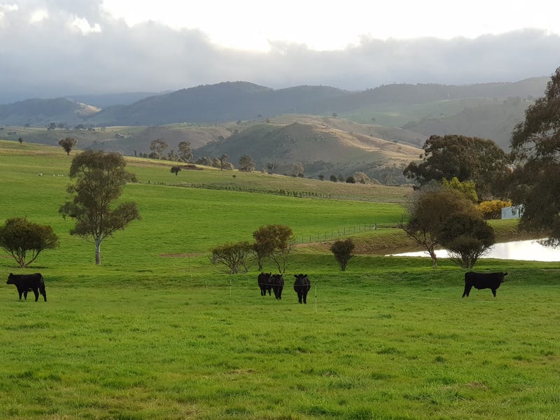 13 McCarthy Rd, Wallaroo, NSW 2618 Property Details