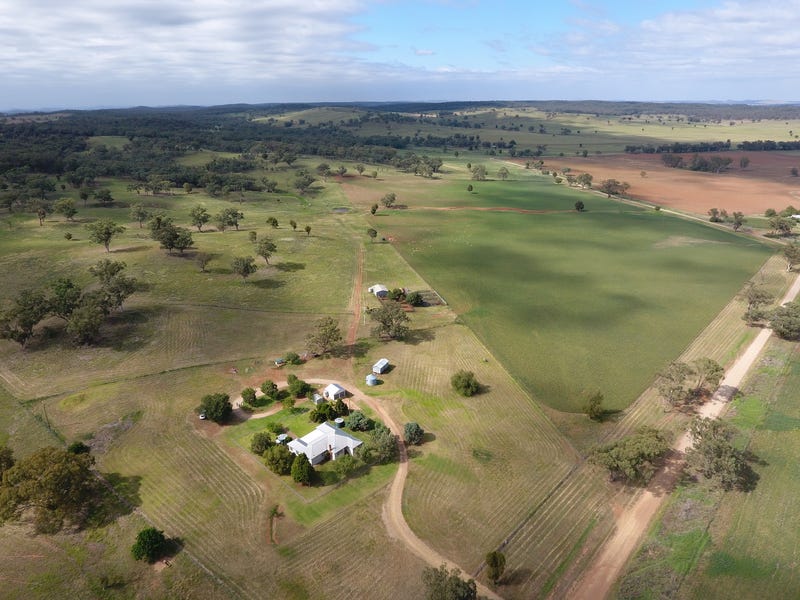 165 Laheys Creek Road, Dunedoo, NSW 2844 Property Details