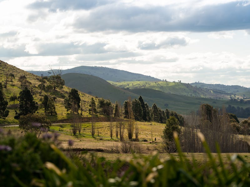 1100 Wallaroo Road, Wallaroo, NSW 2618