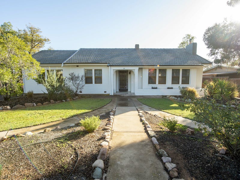 20 Halliday Street, Risdon Park, SA 5540