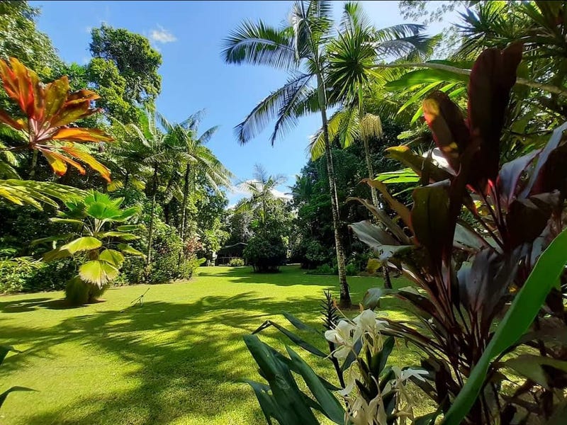 9 Maple Road, Cow Bay, Daintree, Qld 4873 Property Details