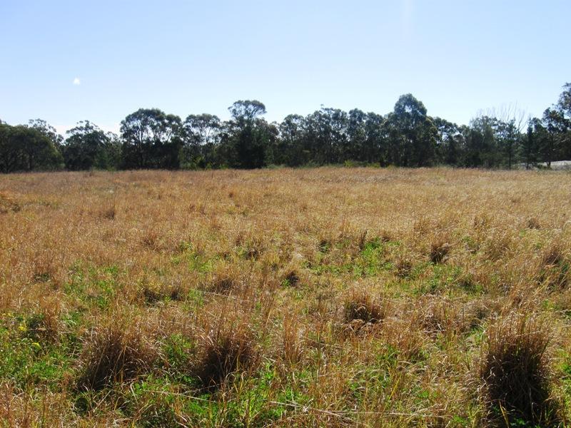 180 Minerva Road, Wedderburn, NSW 2560