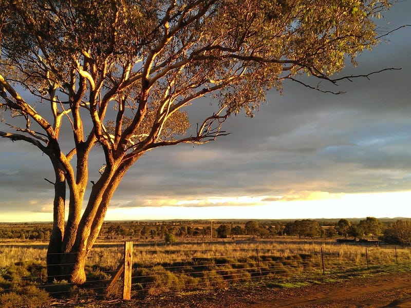 17L Whitewood Road, Dubbo, NSW 2830