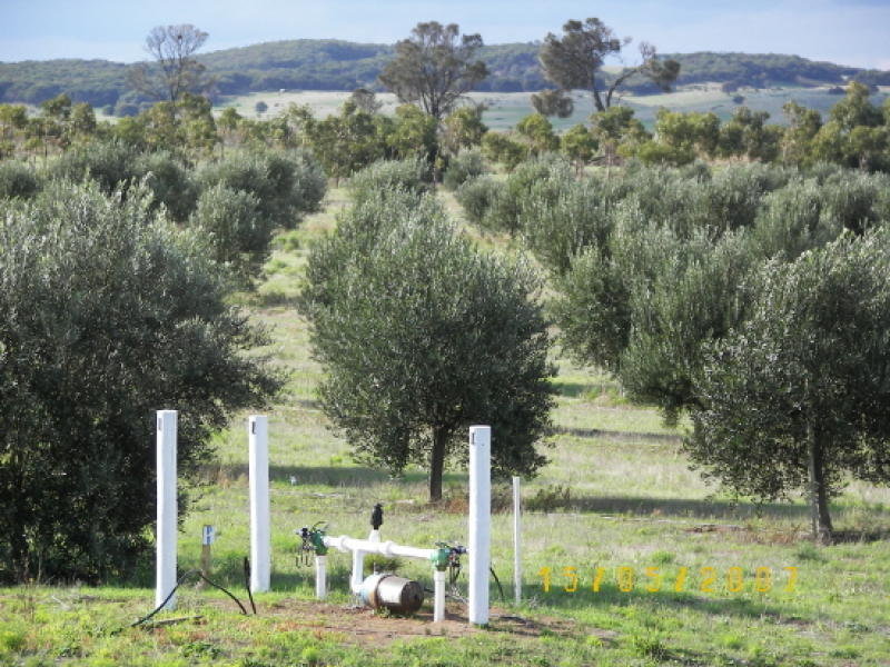 . Frenchmans Bay Olives, Robe, SA 5276 Property Details