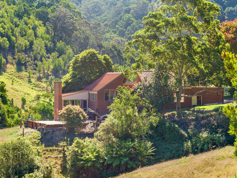 175 Wild Dog Road, Apollo Bay, VIC 3233