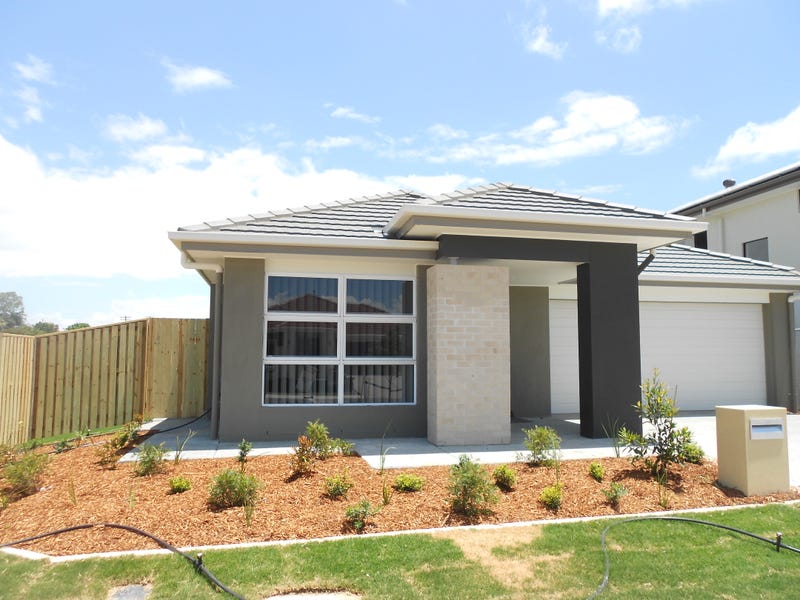 1 Buccaneer Street, Newport, QLD 4020