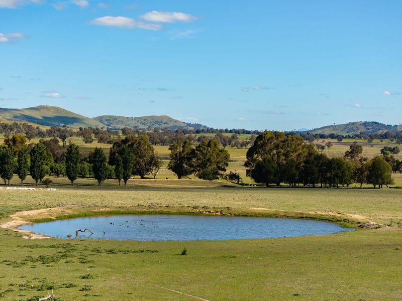 427 Gooda Creek Road, Murrumbateman, NSW 2582 Other for Sale